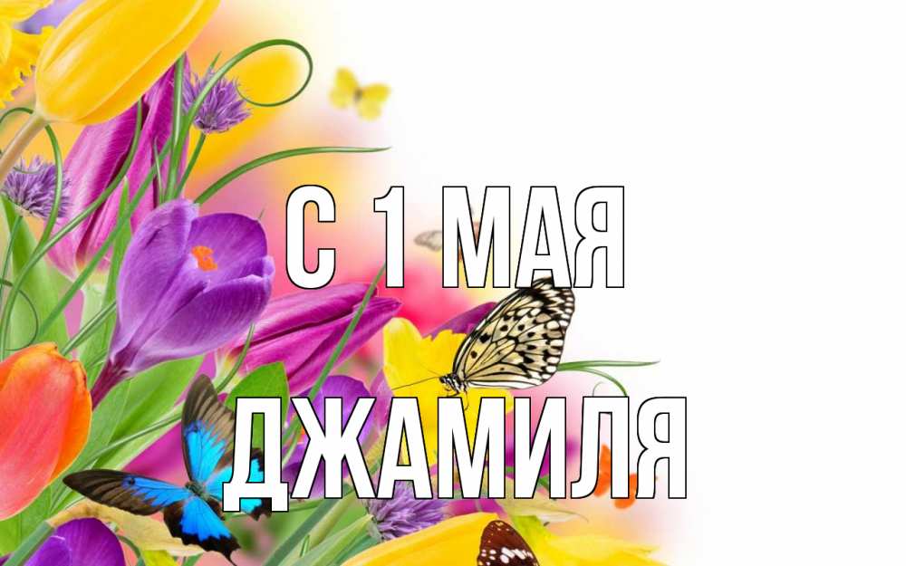 Открытка на каждый день с именем, Джамиля С 1 мая С 1 мая Прикольная открытка с пожеланием онлайн скачать бесплатно 