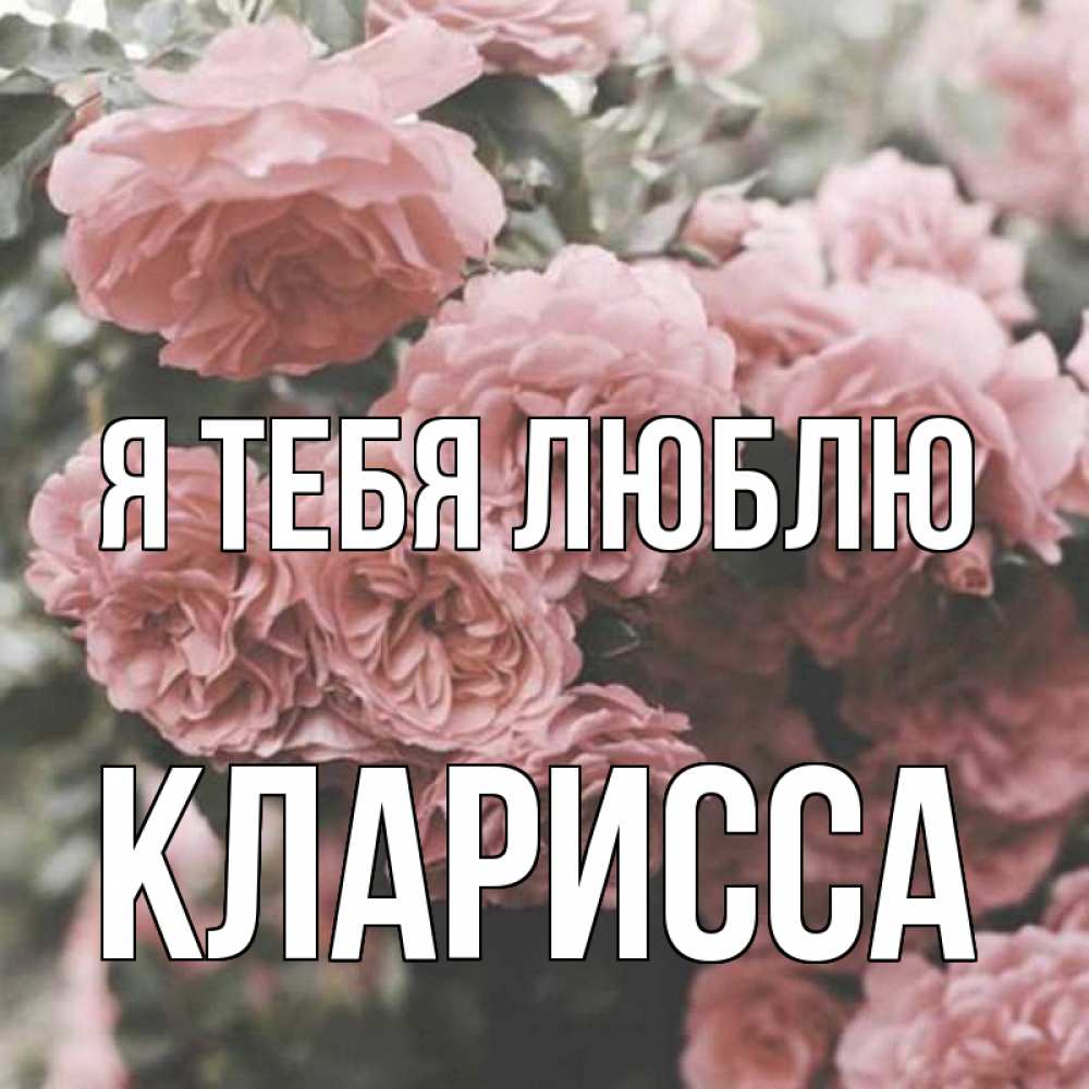 Открытка на каждый день с именем, Кларисса Я тебя люблю розы 3 Прикольная открытка с пожеланием онлайн скачать бесплатно 