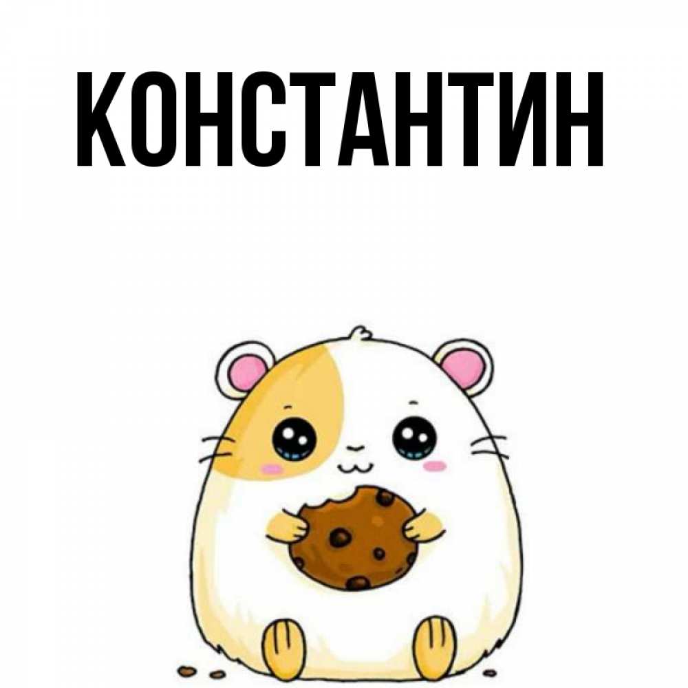 Открытка на каждый день с именем, Константин Главная есть печеньку. Утречко Прикольная открытка с пожеланием онлайн скачать бесплатно 