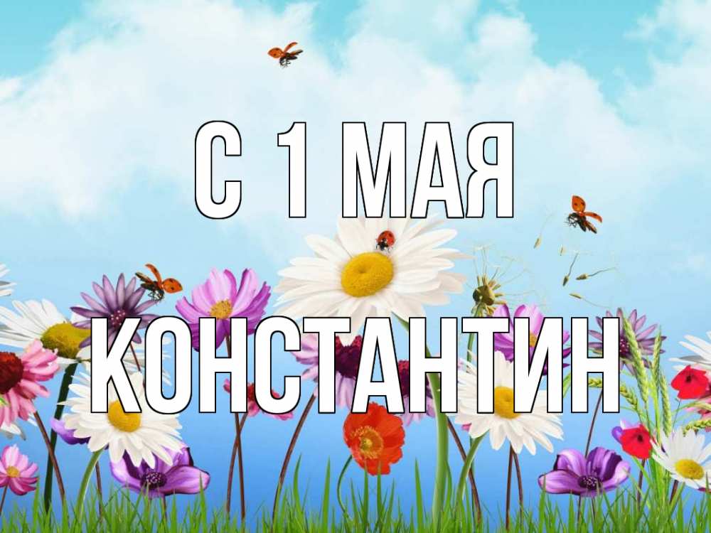 Открытка на каждый день с именем, Константин С 1 мая С 1 мая Прикольная открытка с пожеланием онлайн скачать бесплатно 