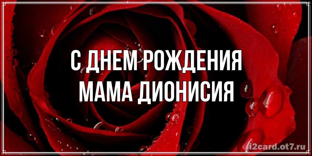 Открытка на каждый день с именем, Мама-Дионисия С днем рождения крупная бордовая роза Прикольная открытка с пожеланием онлайн скачать бесплатно 