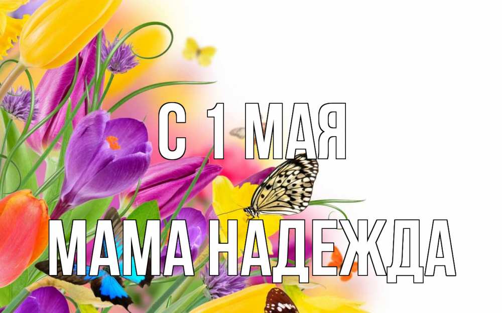 Открытка на каждый день с именем, Мама-Надежда С 1 мая С 1 мая Прикольная открытка с пожеланием онлайн скачать бесплатно 