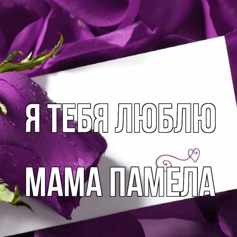 Открытка на каждый день с именем, Мама-Памела Я тебя люблю роза Прикольная открытка с пожеланием онлайн скачать бесплатно 