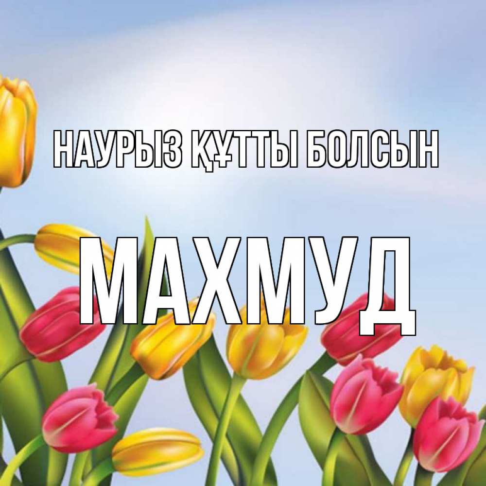 Открытка на каждый день с именем, Махмуд Наурыз құтты болсын наурыз Прикольная открытка с пожеланием онлайн скачать бесплатно 