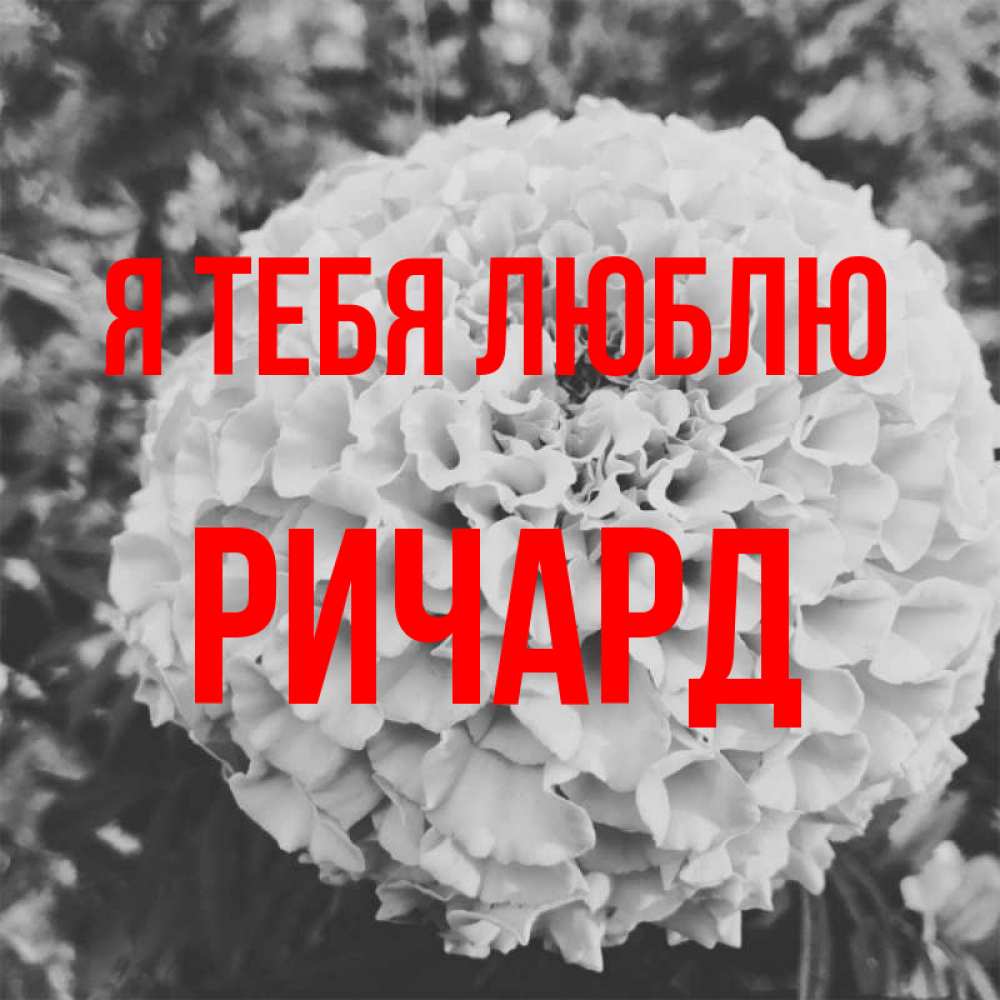 Открытка на каждый день с именем, Ричард Я тебя люблю подпись Прикольная открытка с пожеланием онлайн скачать бесплатно 