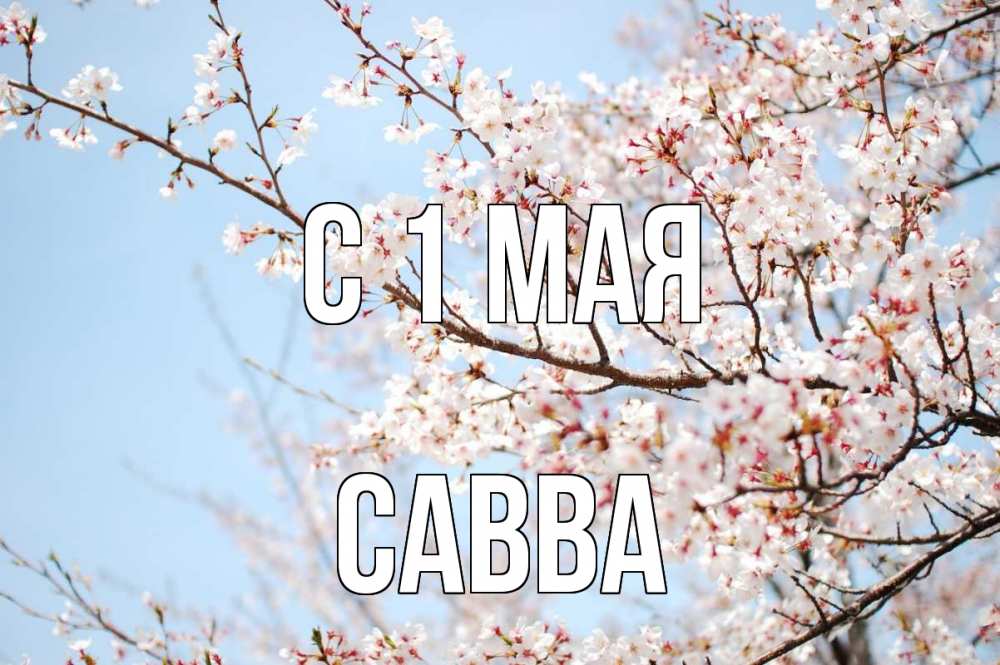 Открытка на каждый день с именем, Савва С 1 мая С 1 мая Прикольная открытка с пожеланием онлайн скачать бесплатно 