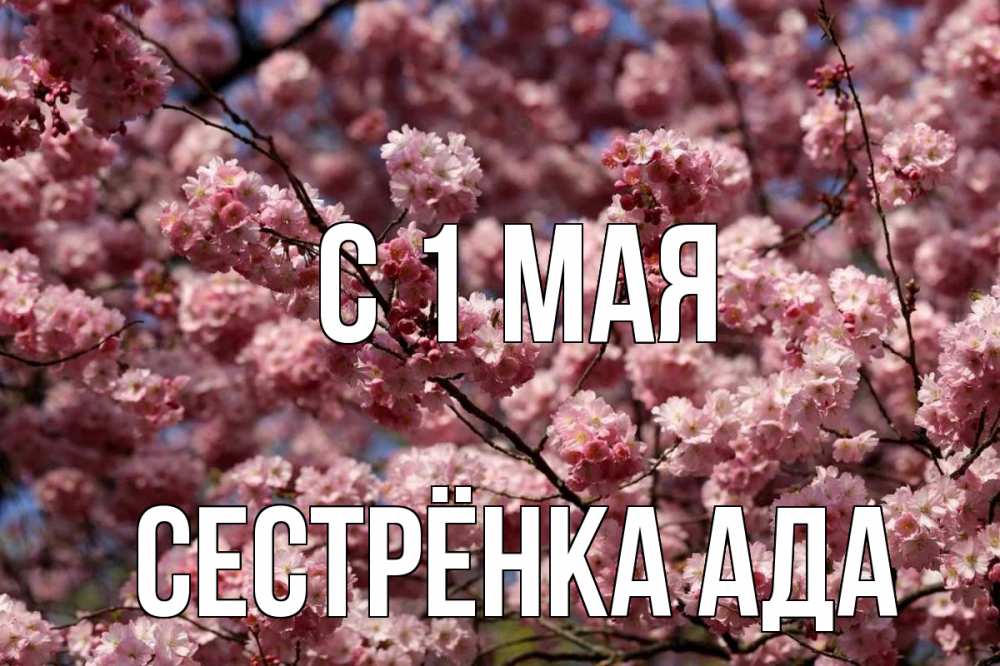Открытка на каждый день с именем, Сестрёнка-Ада С 1 мая С 1 мая Прикольная открытка с пожеланием онлайн скачать бесплатно 