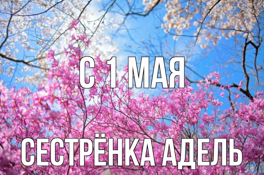 Открытка на каждый день с именем, Сестрёнка-Адель С 1 мая С 1 мая Прикольная открытка с пожеланием онлайн скачать бесплатно 