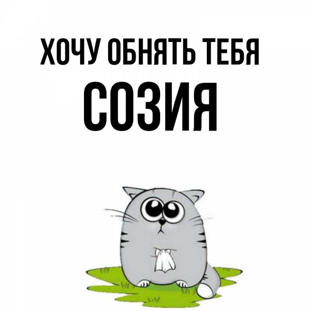 Открытка на каждый день с именем, Созия Хочу обнять тебя котик теребит платочек сидя на травке Прикольная открытка с пожеланием онлайн скачать бесплатно 