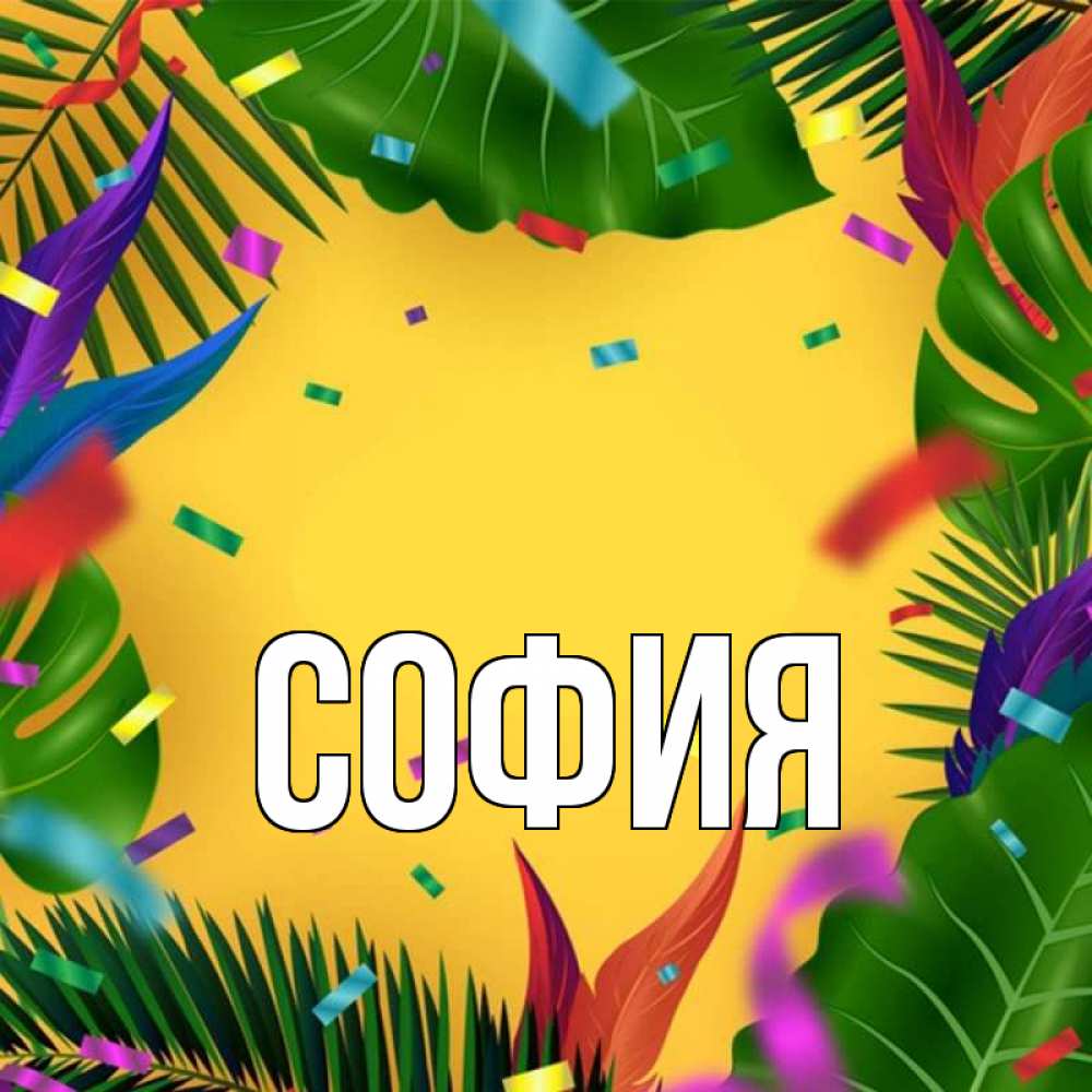 Открытка на каждый день с именем, София Главная тропики Прикольная открытка с пожеланием онлайн скачать бесплатно 