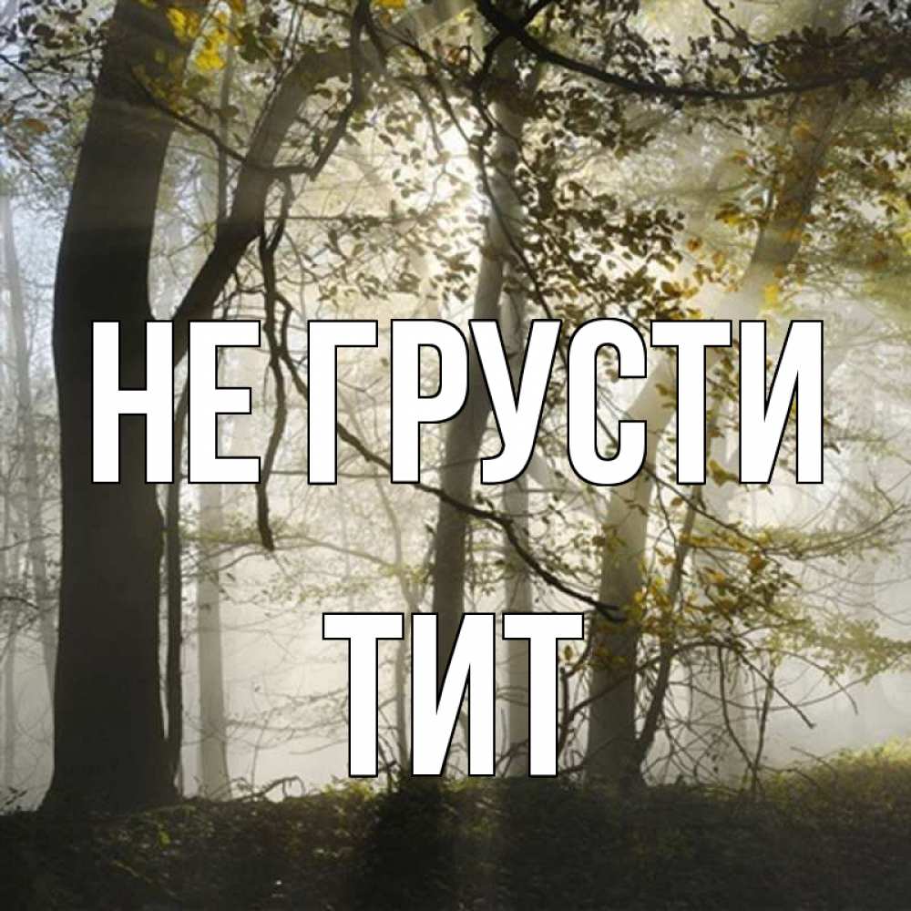 Открытка на каждый день с именем, Тит Не грусти лес и свет Прикольная открытка с пожеланием онлайн скачать бесплатно 