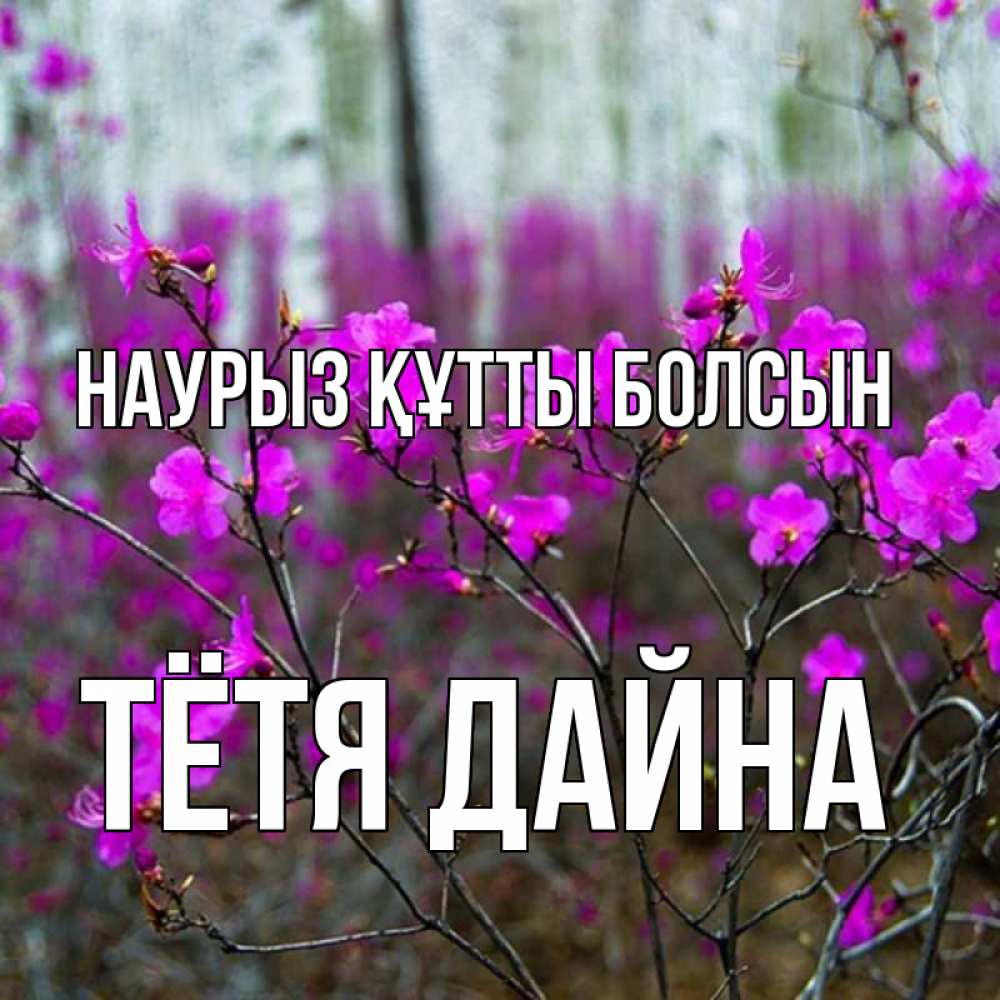Открытка на каждый день с именем, Тётя-Дайна Наурыз құтты болсын дикие цветы Прикольная открытка с пожеланием онлайн скачать бесплатно 