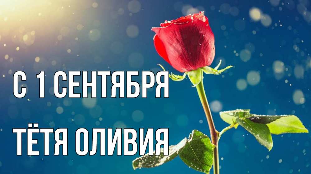 Открытка на каждый день с именем, Тётя-Оливия С 1 сентября с днем знаний Прикольная открытка с пожеланием онлайн скачать бесплатно 