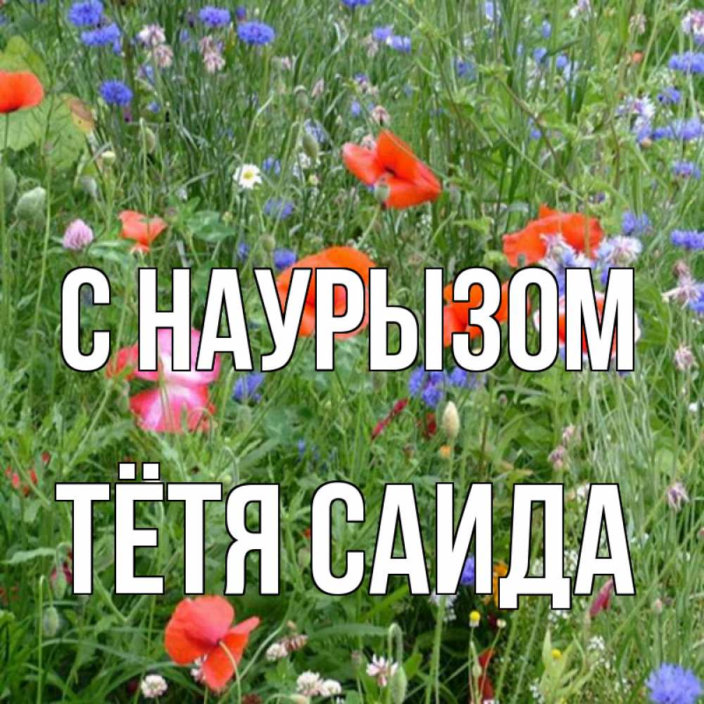 Открытка на каждый день с именем, Тётя-Саида С наурызом праздник весны наурыз супер открытка Прикольная открытка с пожеланием онлайн скачать бесплатно 