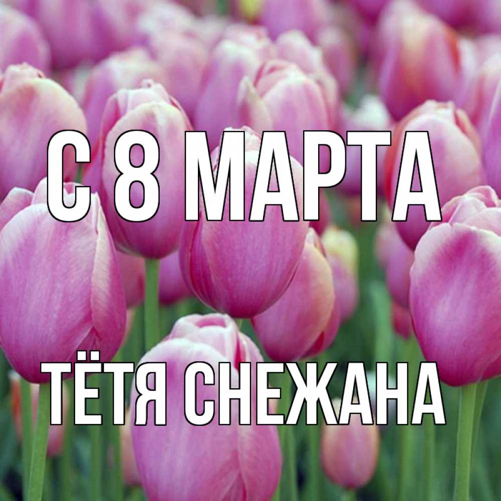 Открытка на каждый день с именем, Тётя-Снежана С 8 марта на международный женский день 3 Прикольная открытка с пожеланием онлайн скачать бесплатно 