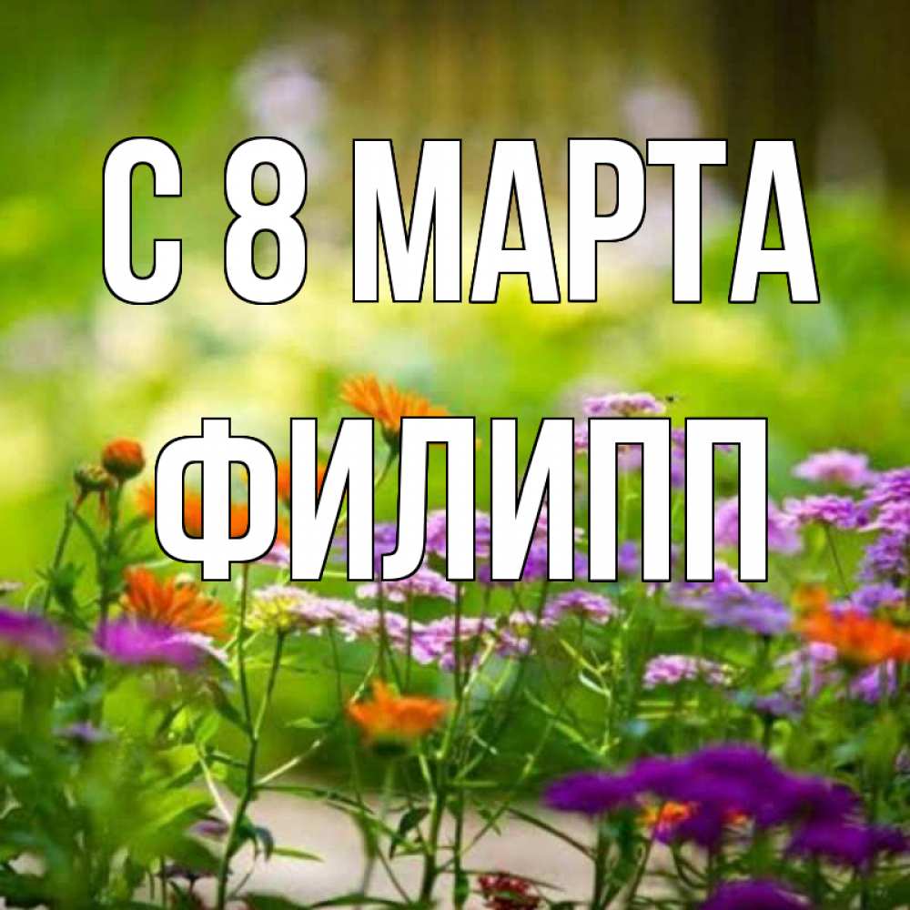Открытка на каждый день с именем, Филипп С 8 МАРТА цветы Прикольная открытка с пожеланием онлайн скачать бесплатно 