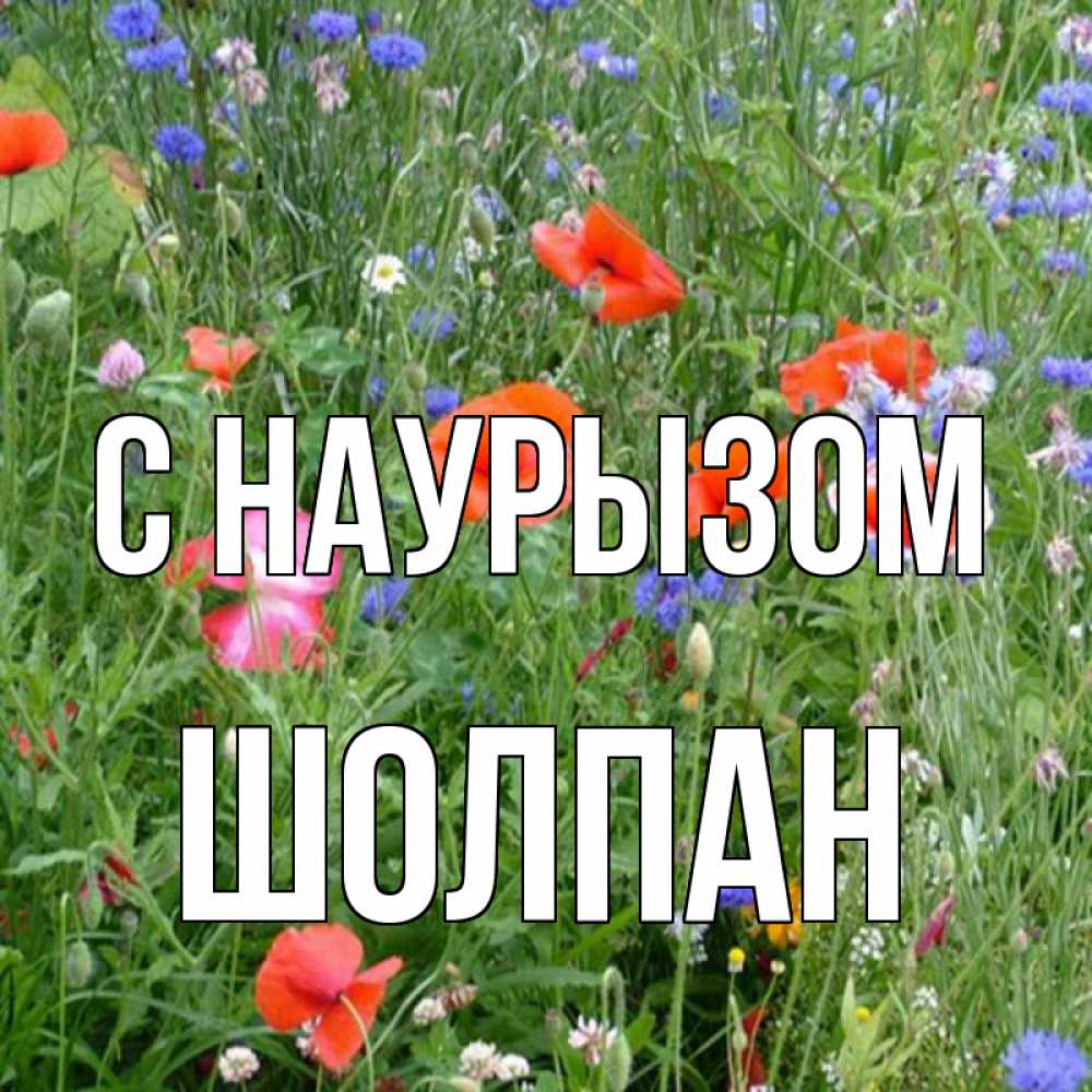 Открытка на каждый день с именем, Шолпан С наурызом праздник весны наурыз супер открытка Прикольная открытка с пожеланием онлайн скачать бесплатно 
