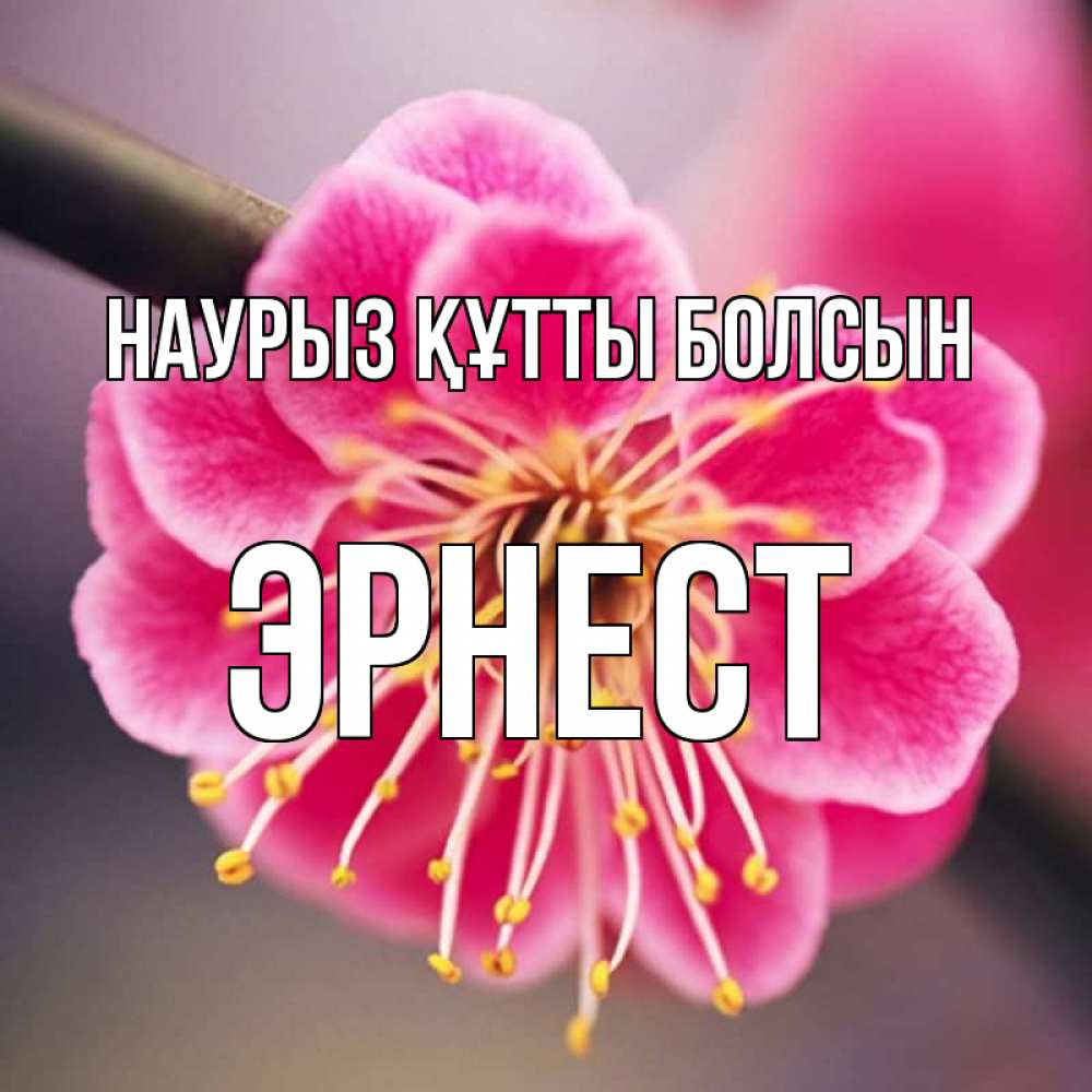 Открытка на каждый день с именем, Эрнест Наурыз құтты болсын цветы Прикольная открытка с пожеланием онлайн скачать бесплатно 