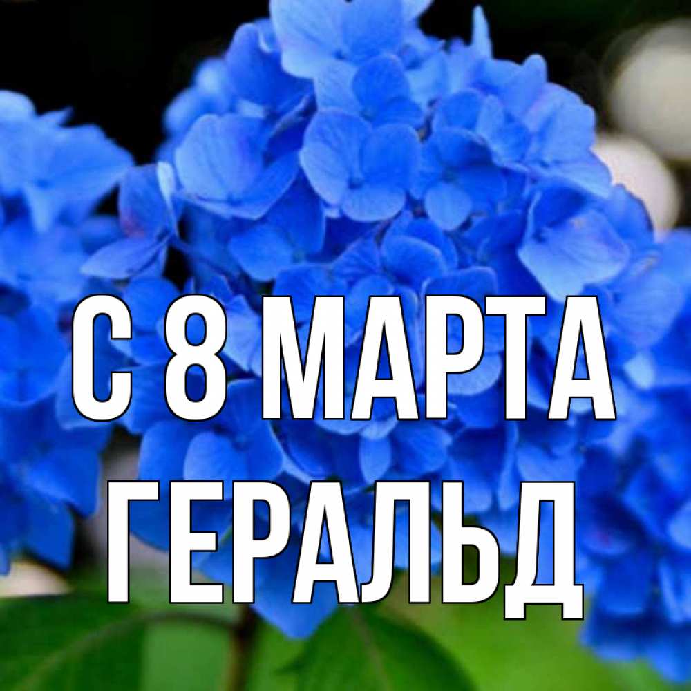 Открытка на каждый день с именем, Геральд С 8 МАРТА синие цветы Прикольная открытка с пожеланием онлайн скачать бесплатно 