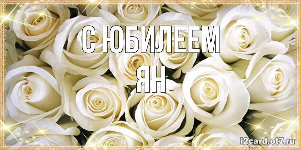 Открытка на каждый день с именем, Ян С юбилеем открытка с белыми розами. большой букет белых роз Прикольная открытка с пожеланием онлайн скачать бесплатно 