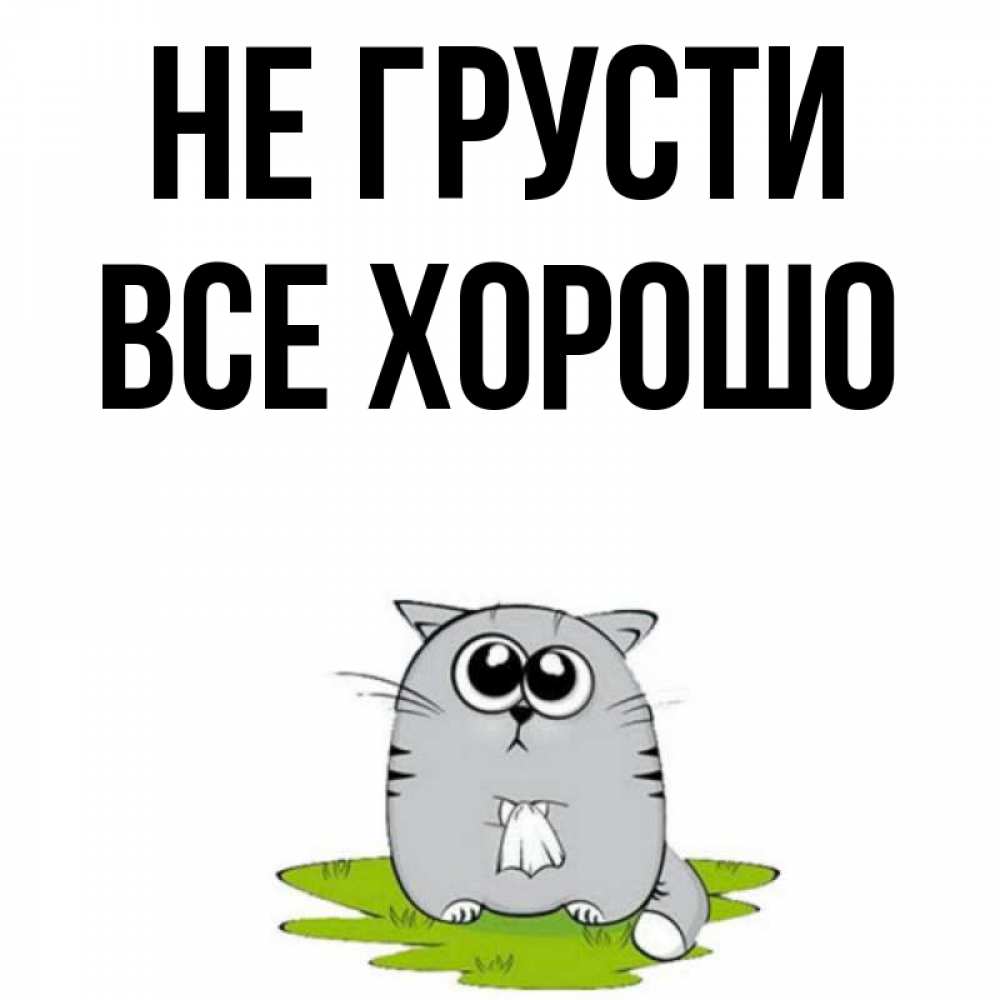 Днем рождения, прикольные картинки не грусти все будет хорошо
