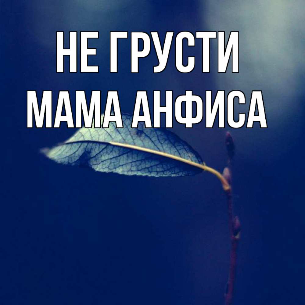 Открытка на каждый день с именем, Мама-Анфиса Не грусти растение Прикольная открытка с пожеланием онлайн скачать бесплатно 