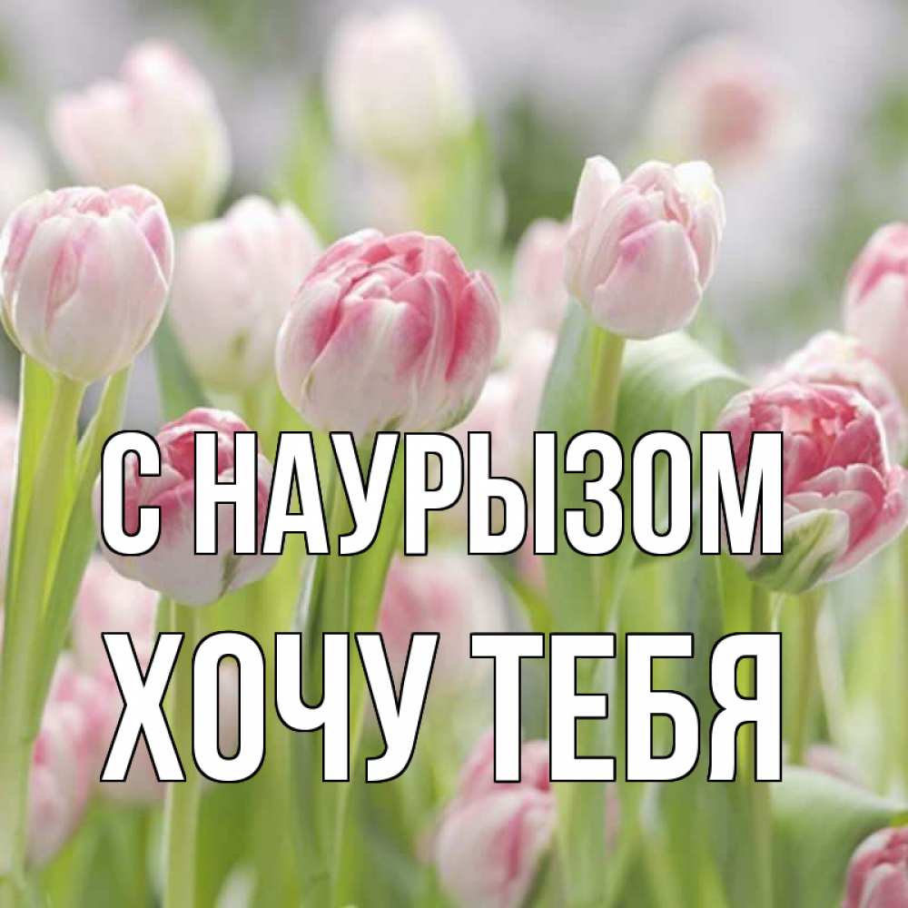 Картинка С наурызом, Хочу тебя