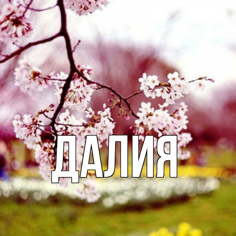 Картинка  с именем , Далия
