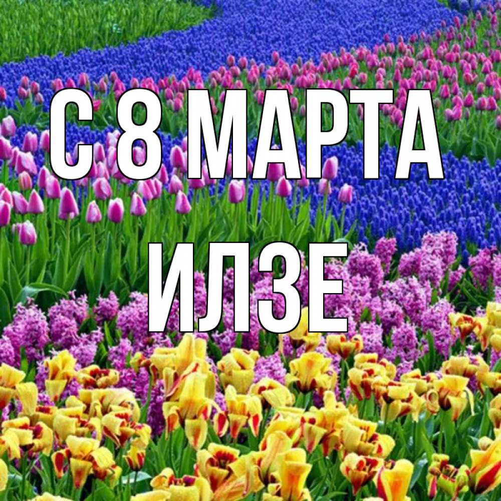 Открытка на каждый день с именем, Илзе С 8 МАРТА цветы Прикольная открытка с пожеланием онлайн скачать бесплатно 