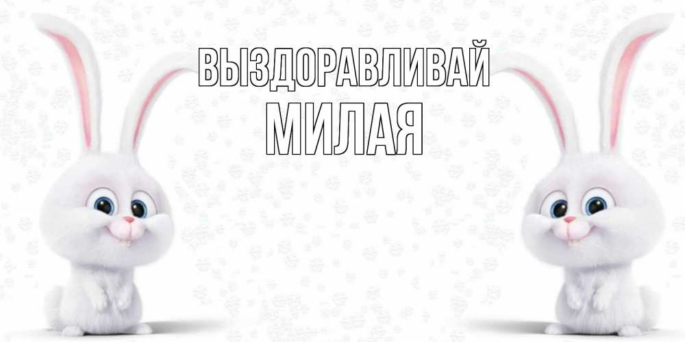 Открытка на каждый день с именем, МИЛАЯ Выздоравливай не болей с зайцем Прикольная открытка с пожеланием онлайн скачать бесплатно 