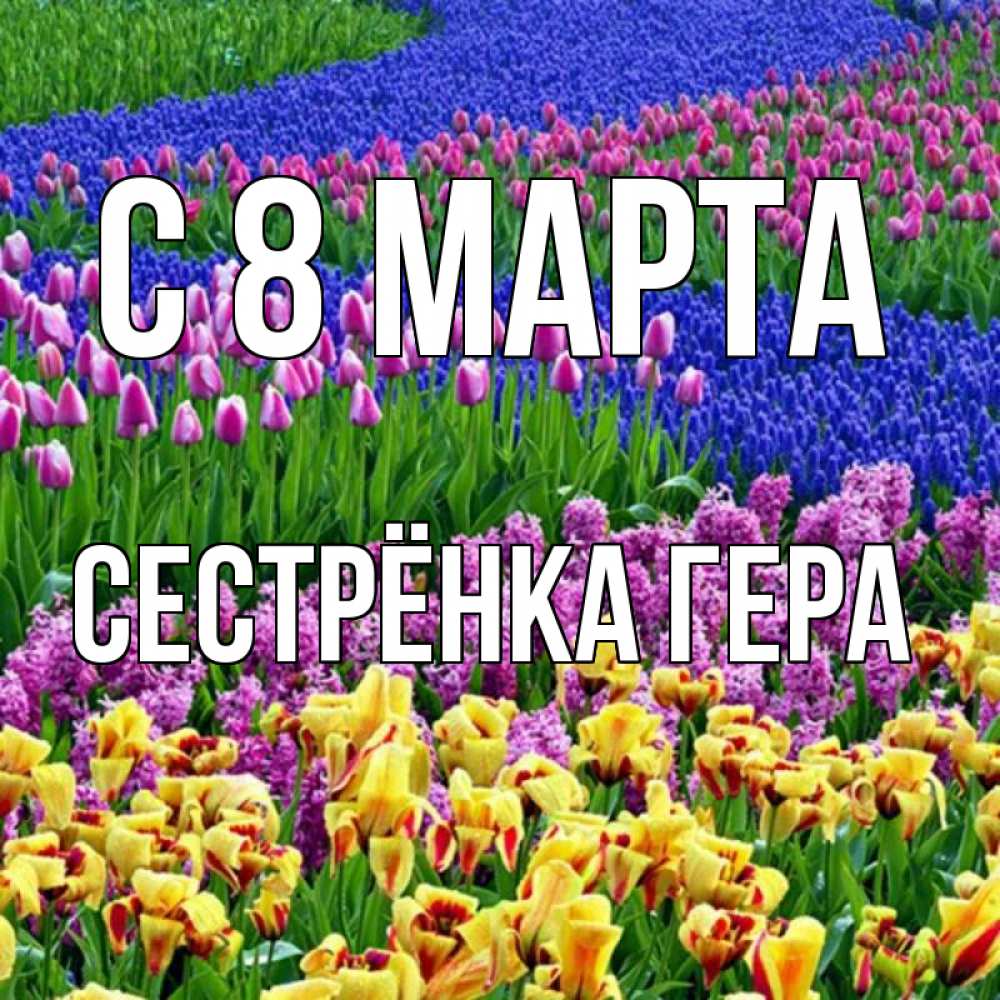 Открытка на каждый день с именем, Сестрёнка-Гера С 8 МАРТА цветы Прикольная открытка с пожеланием онлайн скачать бесплатно 