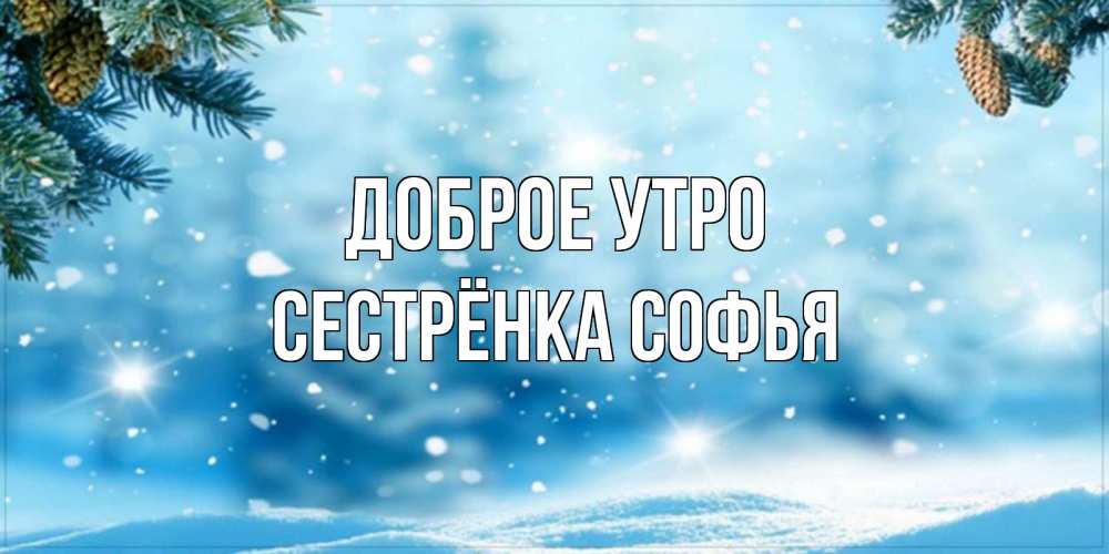 Открытка на каждый день с именем, Сестрёнка-Софья Доброе утро зимнее доброе утро Прикольная открытка с пожеланием онлайн скачать бесплатно 