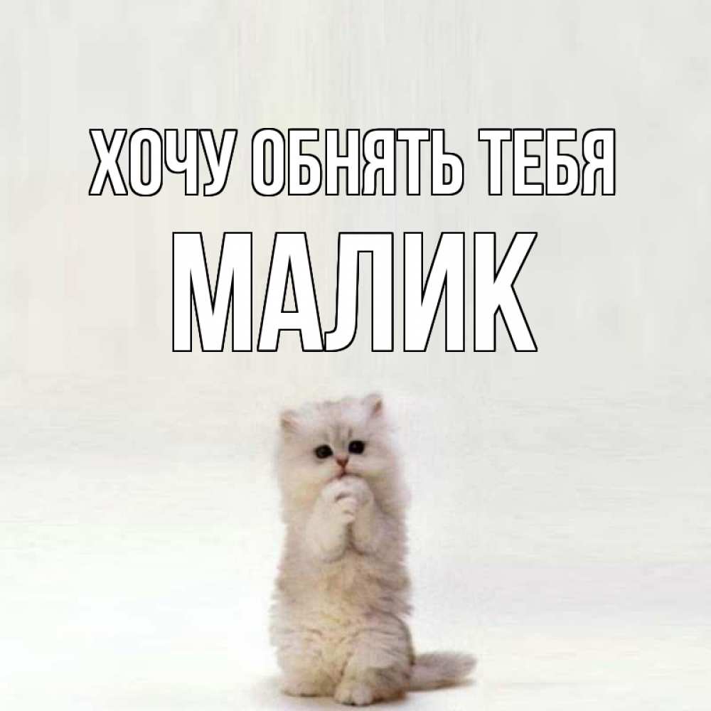 Днем рождения, ссылка я хочу к тебе открытки