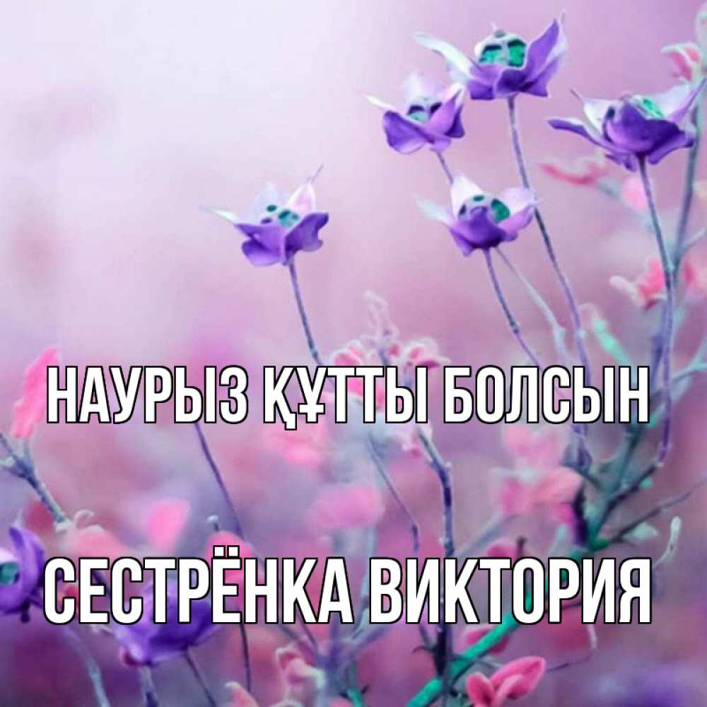 Открытка на каждый день с именем, Сестрёнка-Виктория Наурыз құтты болсын наурыз  2 Прикольная открытка с пожеланием онлайн скачать бесплатно 