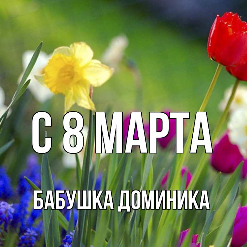 Открытка на каждый день с именем, Бабушка-Доминика С 8 марта международный женский день 3 Прикольная открытка с пожеланием онлайн скачать бесплатно 