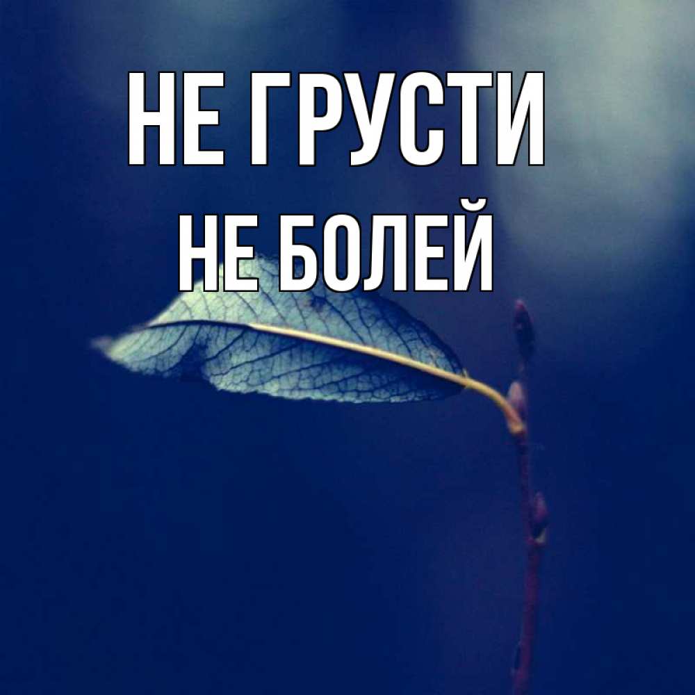 Не болей и не грусти картинки