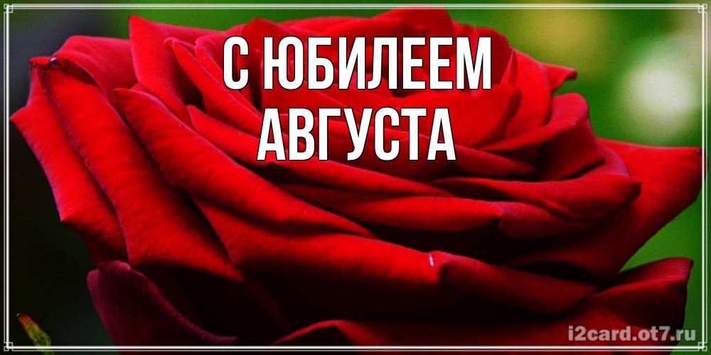 Открытка на каждый день с именем, Августа С юбилеем розочка очень красивая Прикольная открытка с пожеланием онлайн скачать бесплатно 