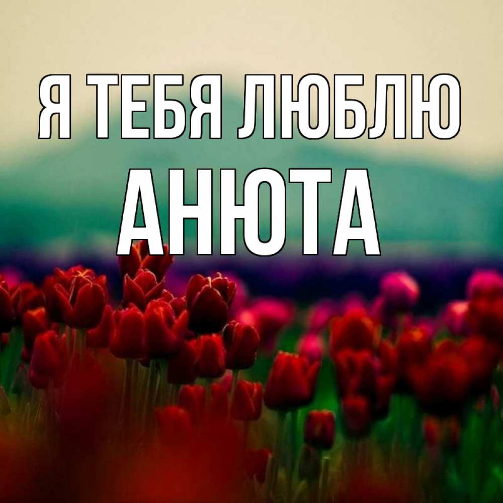 Открытка на каждый день с именем, Анюта Я тебя люблю тюльпаны 4 Прикольная открытка с пожеланием онлайн скачать бесплатно 