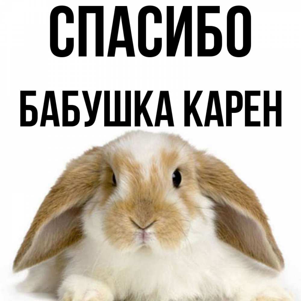 Открытка на каждый день с именем, Бабушка-Карен Спасибо коричнево белый заяц Прикольная открытка с пожеланием онлайн скачать бесплатно 