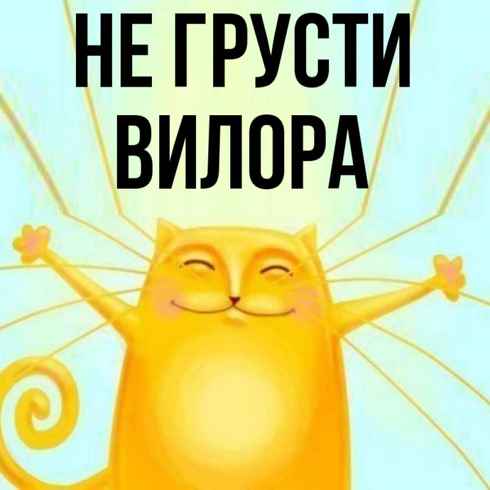 Открытка на каждый день с именем, Вилора Не грусти обнимашки усатые Прикольная открытка с пожеланием онлайн скачать бесплатно 