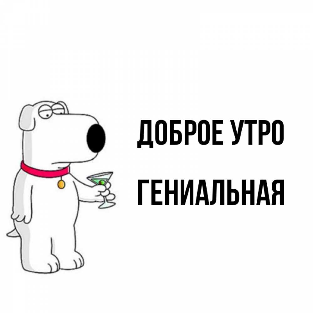 
Владимир Прикольные Картинки