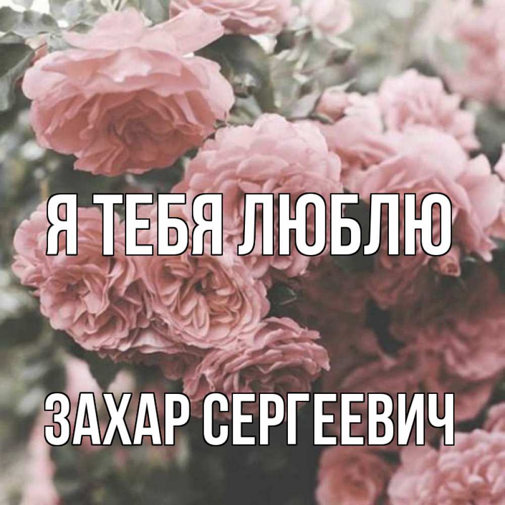 Открытка на каждый день с именем, Захар-Сергеевич Я тебя люблю розы 3 Прикольная открытка с пожеланием онлайн скачать бесплатно 
