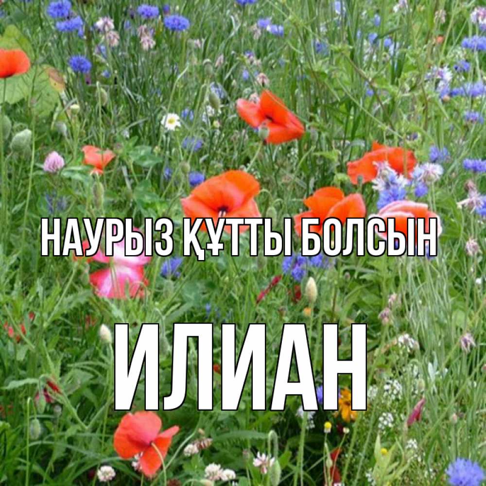 Открытка на каждый день с именем, Илиан Наурыз құтты болсын наурыз  4 Прикольная открытка с пожеланием онлайн скачать бесплатно 