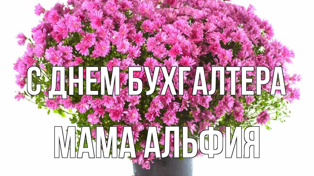 Открытка на каждый день с именем, Мама-Альфия С днем бухгалтера с днем бухгалтера Прикольная открытка с пожеланием онлайн скачать бесплатно 