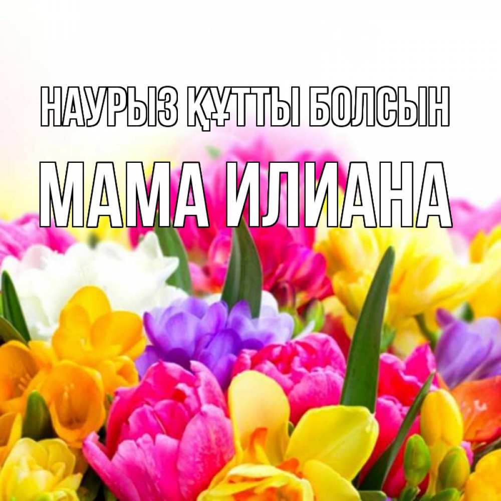 Открытка на каждый день с именем, Мама-Илиана Наурыз құтты болсын тюльпаны Прикольная открытка с пожеланием онлайн скачать бесплатно 