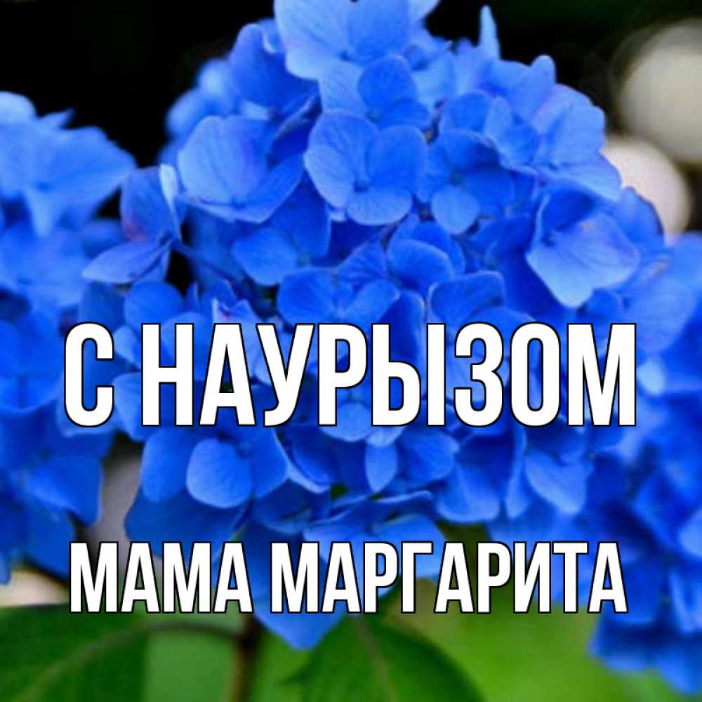 Открытка на каждый день с именем, Мама-Маргарита С наурызом синие цветы Прикольная открытка с пожеланием онлайн скачать бесплатно 