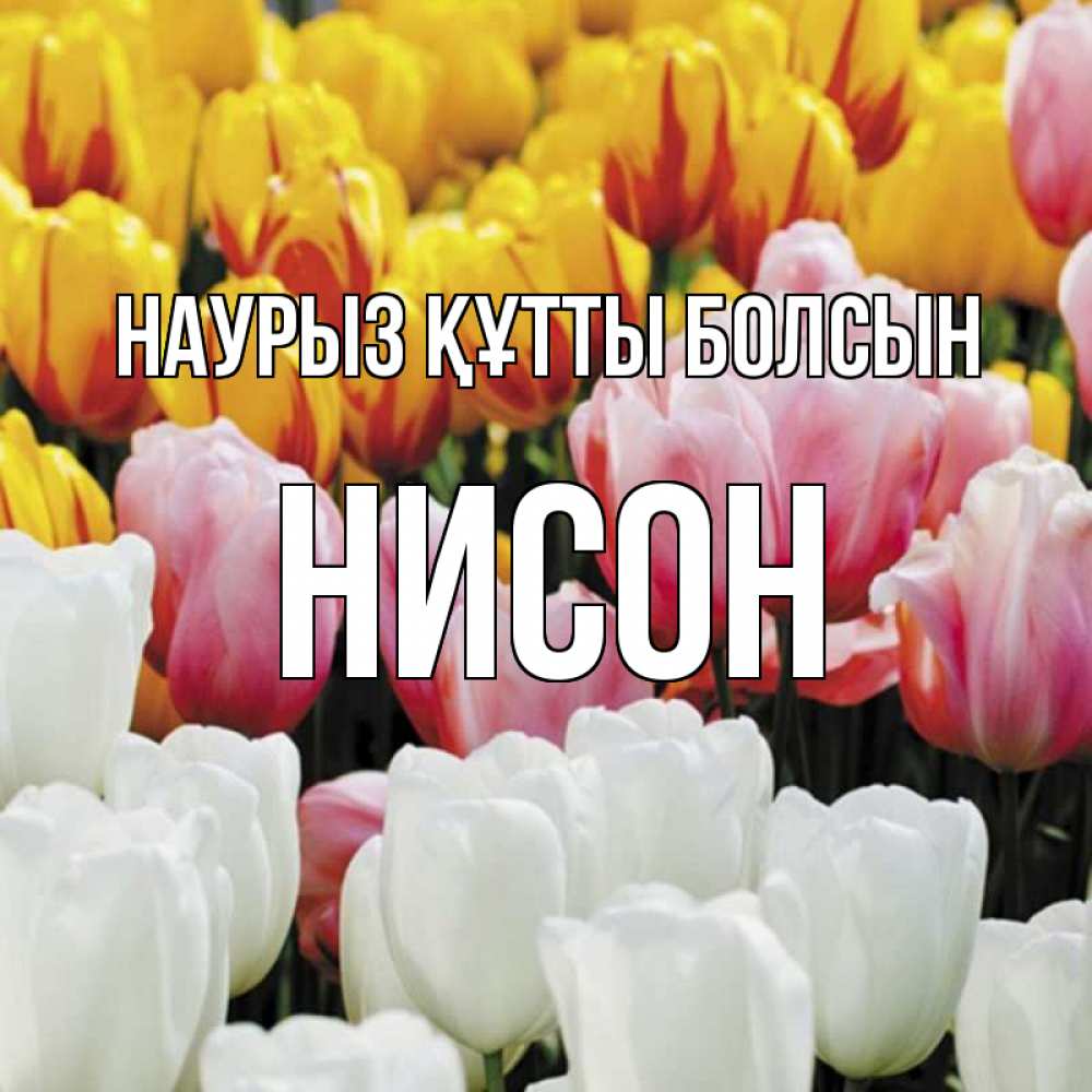 Открытка на каждый день с именем, Нисон Наурыз құтты болсын разноцветные цветы Прикольная открытка с пожеланием онлайн скачать бесплатно 