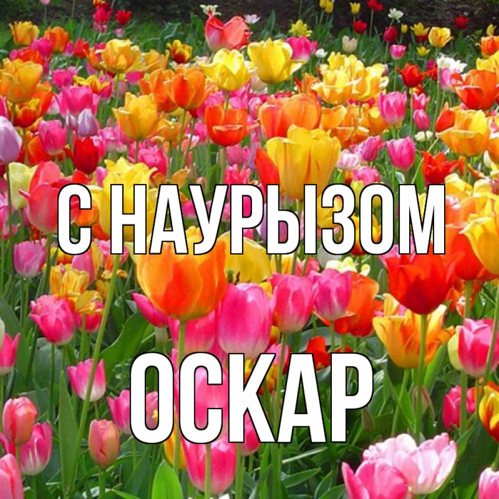 Открытка на каждый день с именем, Оскар С наурызом праздник весны наурыз 4 Прикольная открытка с пожеланием онлайн скачать бесплатно 