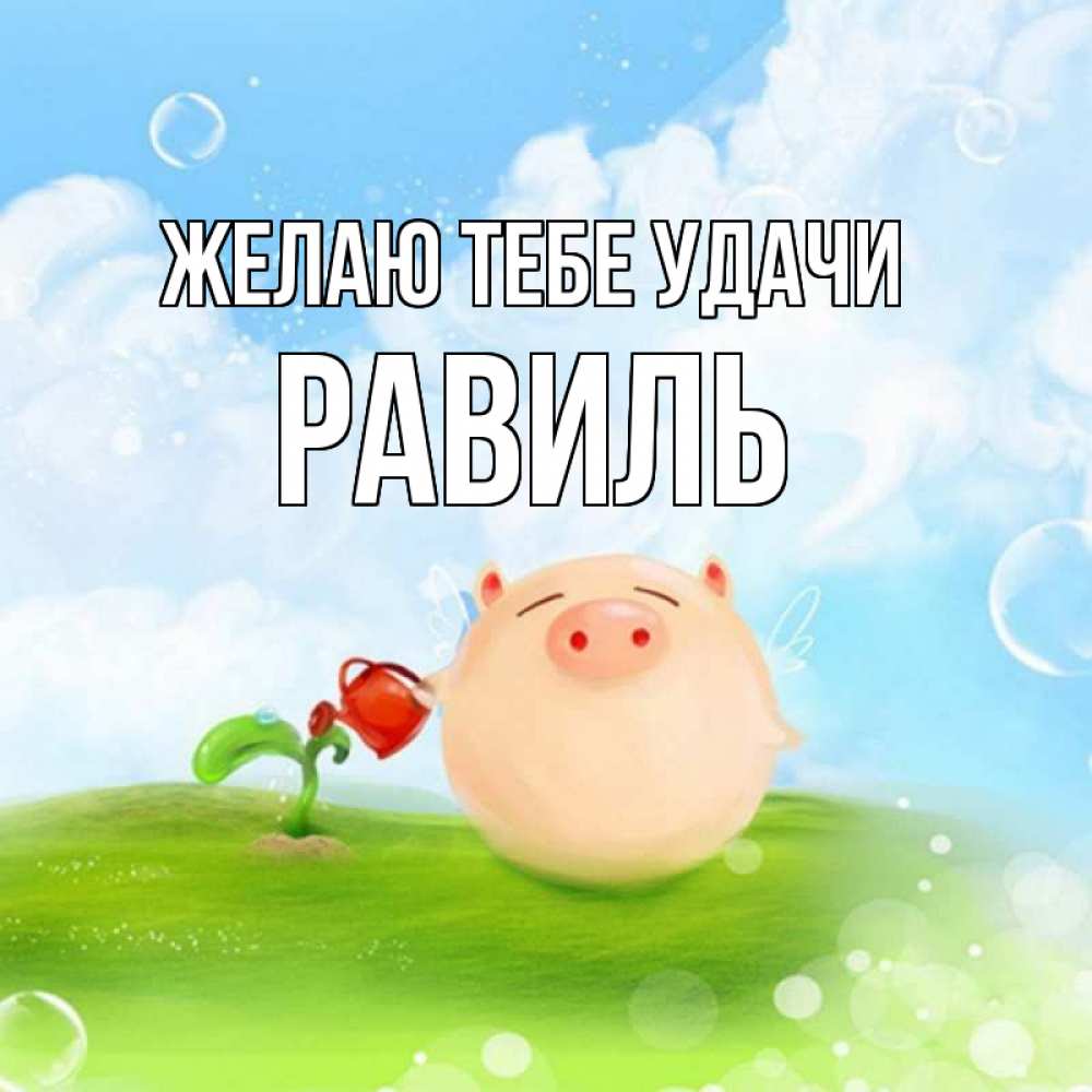 Открытка на каждый день с именем, Равиль Желаю тебе удачи поросенок поливает цветок. летнее настроение Прикольная открытка с пожеланием онлайн скачать бесплатно 