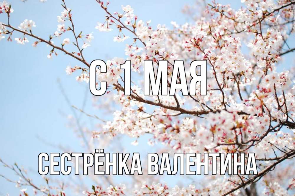 Открытка на каждый день с именем, Сестрёнка-Валентина С 1 мая С 1 мая Прикольная открытка с пожеланием онлайн скачать бесплатно 
